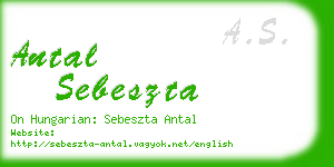 antal sebeszta business card